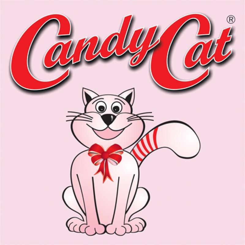 Savureaza o prajitura dietetica la noua cofetarie Candy Cat