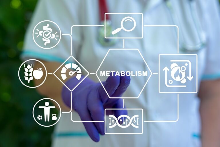 Despre metabolism, pe înțelesul tuturor