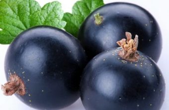 Afinele, fructele antioxidante ce iti imbunatatesc memoria