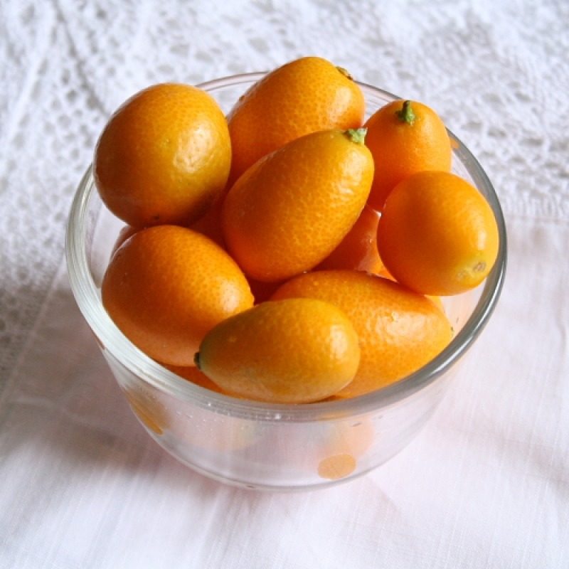 Fructele de kumquat, deliciul exotic dulce-acrisor