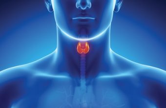 Sfaturi pentru sanatatea glandei tiroide