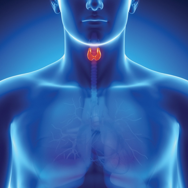 Sfaturi pentru sanatatea glandei tiroide