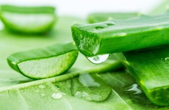 Aloe vera: beneficii și proprietăți terapeutice