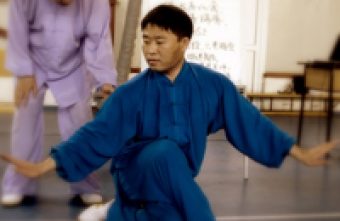 Stagiu Daoyin Qigong si Taiji la Bucuresti