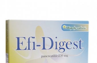 Efi-Digest