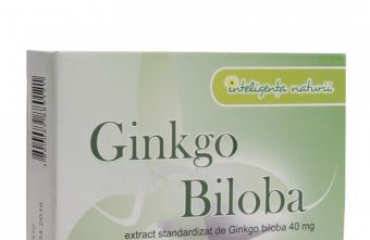 Ginkgo Biloba