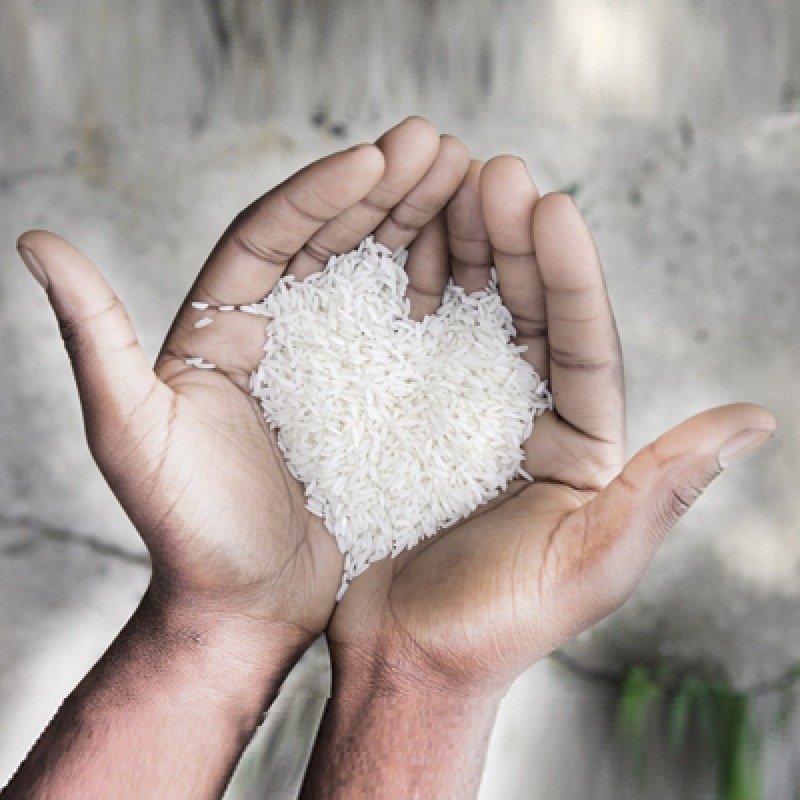 Dieta cu orez Slab sau Gras