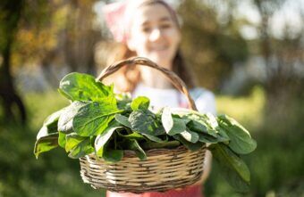 Dieta românească pentru detoxifiere