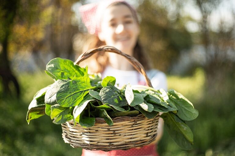 Dieta românească pentru detoxifiere