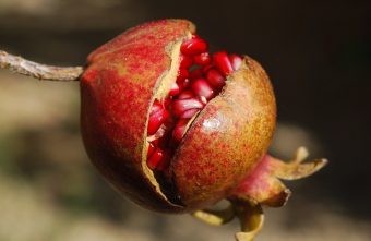 Dieta cu rodii, o solutie delicioasa pentru o sanatate fara cusur