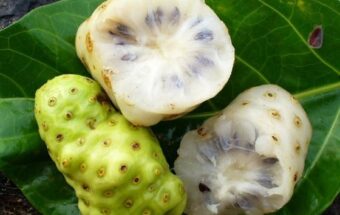 Beneficiile fructului noni