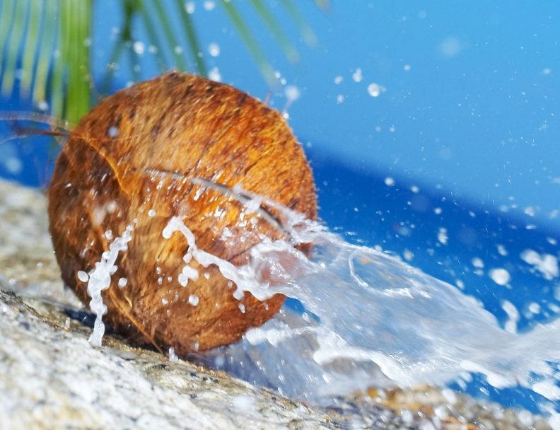 Nuca de cocos – ce beneficii extraordinare are pentru sanatate