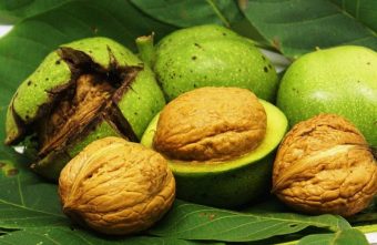 Nucile – proprietati nutritive pentru organism
