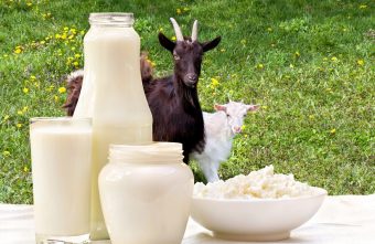 Intoleranta si alergia la lapte: care sunt diferentele?