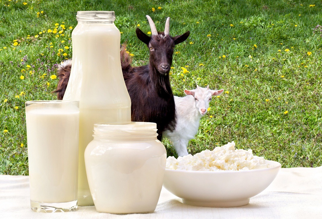 Intoleranta si alergia la lapte: care sunt diferentele?
