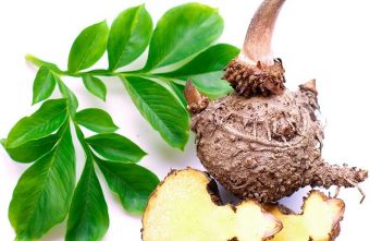 Konjac – ce este, beneficii, contraindicații, modalități de consum