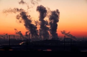 Poluarea atmosferica, cauza majora a deficientelor nutritionale
