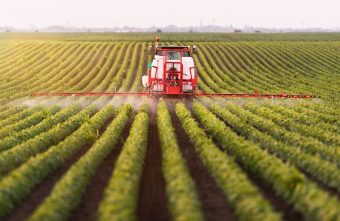 Pesticidele, un pericol evitabil