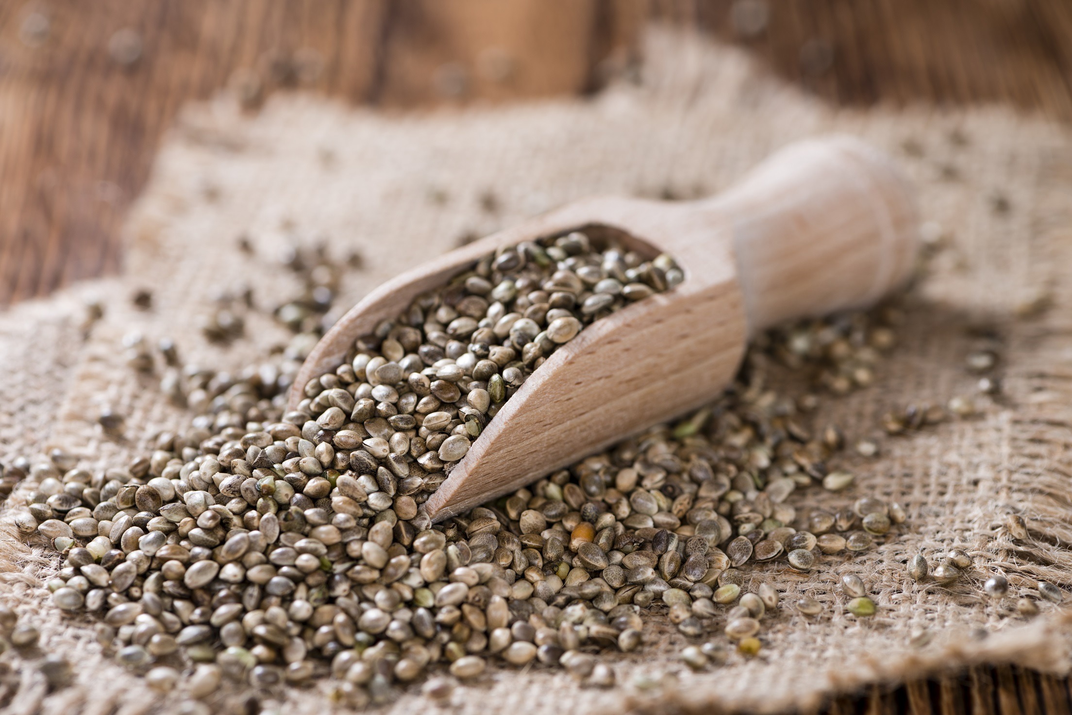 Semințele de cânepă – beneficii, aport nutrițional, rețete