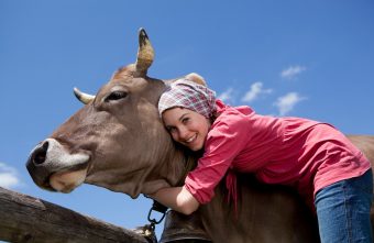 Îmbrățișatul vacilor, noul trend în wellness