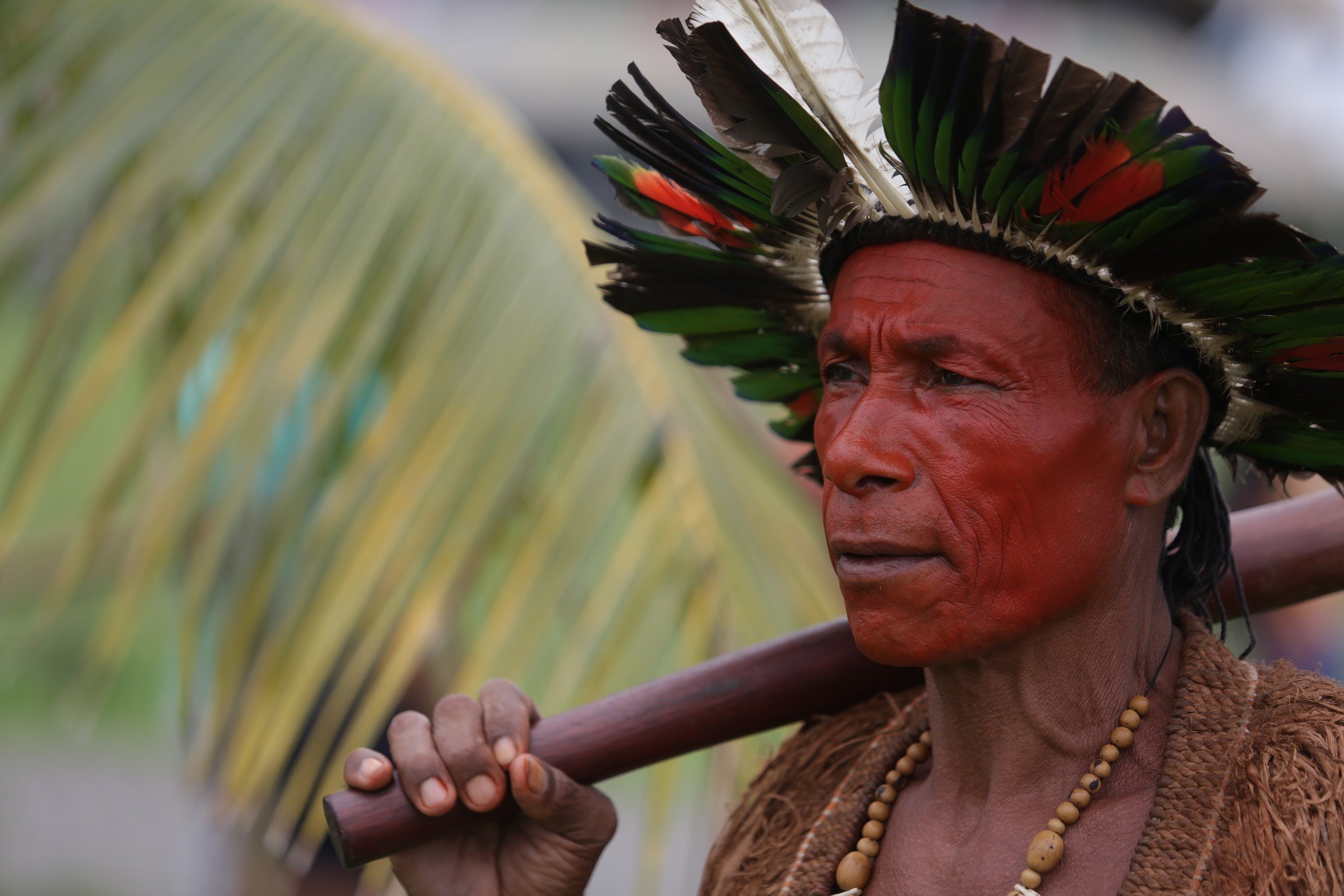 Dieta societăților precolumbiene din Amazonul brazilian, reconstituită