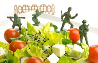 Dieta militara