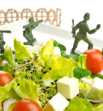 Dieta militara