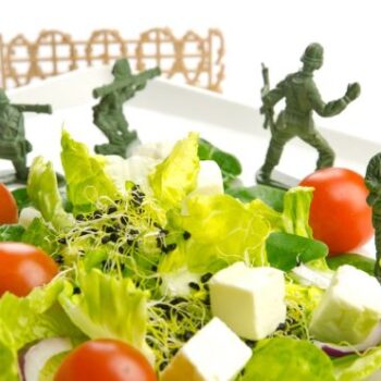 Dieta militara