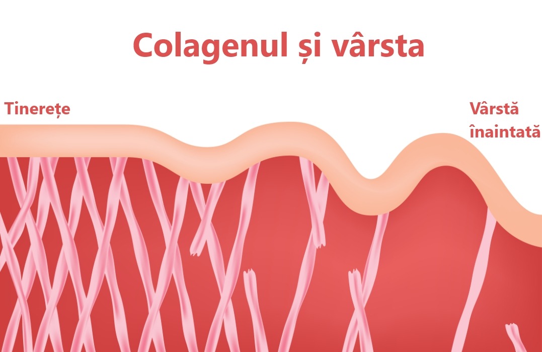 Beneficiile dovedite ale colagenului pentru articulații sănătoase