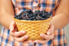 Aronia – beneficii, modalități de consum