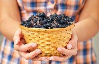 Aronia – beneficii, modalități de consum