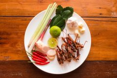 Insectele și nutrienții pe care îi pot aduce în alimentația noastră