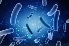 Pericolele infecției cu E. coli