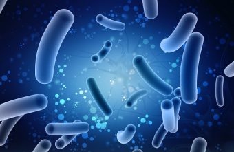 Pericolele infecției cu E. coli