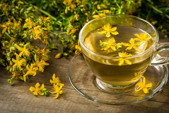 Beneficiile terapeutice ale ceaiului de sunătoare