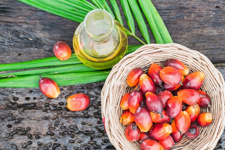 Ulei de palmier în dietă – beneficii și riscuri