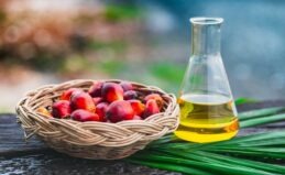 Ulei de palmier în dietă – beneficii și riscuri