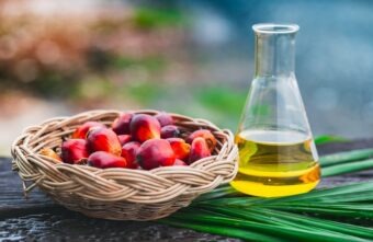 Ulei de palmier în dietă – beneficii și riscuri