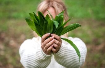 Leurda – proprietăți nutritive și beneficii