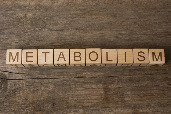 Calculator de calorii – cum funcționează și cum te poate ajuta să-ți atingi obiectivele de nutriție și slăbit