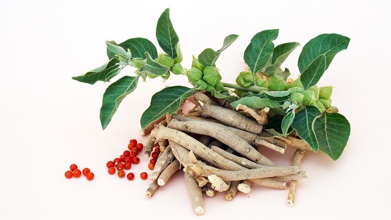 Ashwagandha: informații despre cele mai importante beneficii