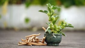 Ashwagandha: informații despre cele mai importante beneficii