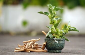 Ashwagandha: informații despre cele mai importante beneficii