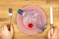Microplasticele, o amenințare la adresa sănătății. Iată cum să nu le mai înghițim