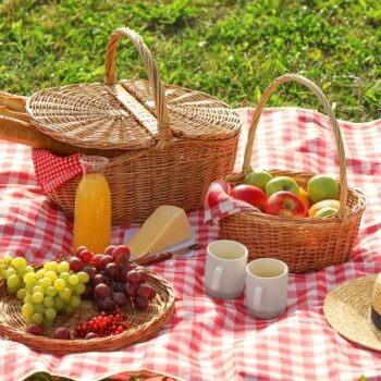 Picnic sănătos: ce să pui în coșul de picnic
