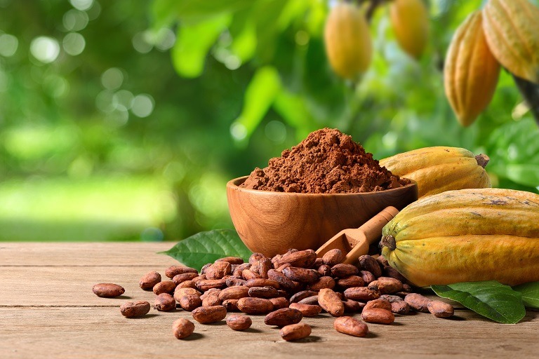 Cacao: beneficii, proprietăți, tipuri