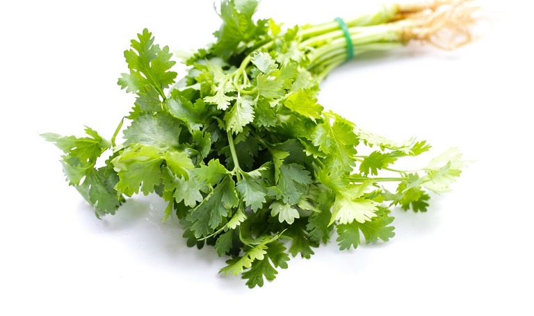 Cele mai importante 10 beneficii ale consumului de coriandru