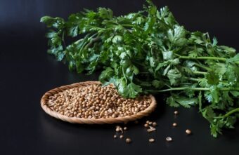 Cele mai importante 10 beneficii ale consumului de coriandru