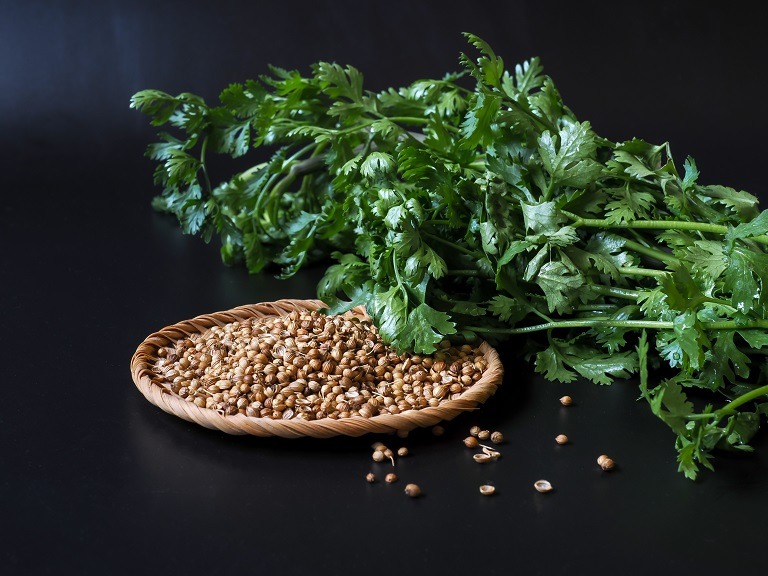 Cele mai importante 10 beneficii ale consumului de coriandru