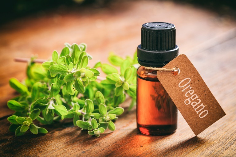 Cele mai importante 10 beneficii ale uleiului de oregano